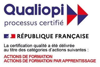 MFR IMAA Logo